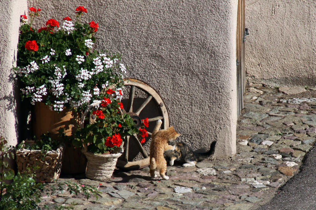 Farm stay Zu Schgagul Castelrotto