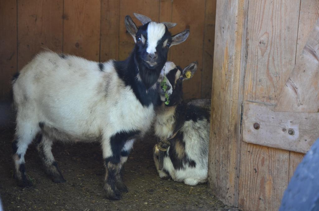 Farm stay Zu Schgagul
